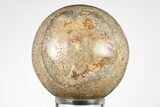 Polished Agatized Dinosaur (Gembone) Sphere - Morocco #198438-1